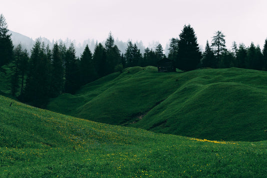 Sustainable Outdoor Pursuits for Nature Lovers